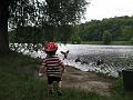 Kaczuszki 2